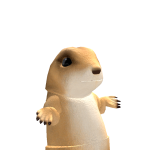 @dobidapoop
