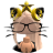 PAPlDRAKE