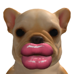 @KkbeIIa