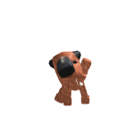 @nutella_buck