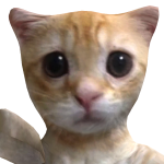 @Magnusthedog1
