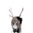 Spengler99