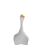 @griffin123456789010