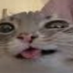 @al1jxsyj427