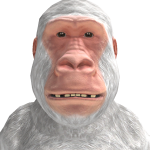 @thewizardbadger