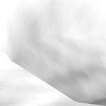 @chickenninjacop