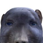 @allisonsherm