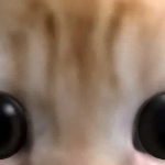 @aidenpro_yt