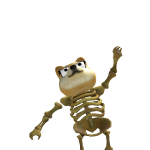 @noahnufio
