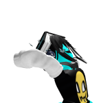 @wii12647
