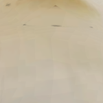 @SammyDuck8