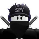 @theprogammer229