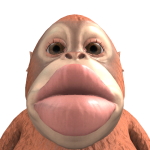 @george19march