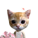 @Rafflvjf