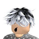 @leo400070035