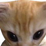 UncleToe