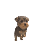 @Jnicorn1200