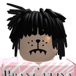 @countincapo