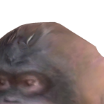 @jason568899