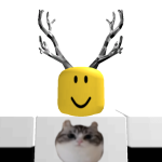 @roblox_user_2768620344