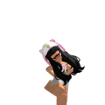 @roblox_user_1013795804