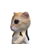 @pappRainbow