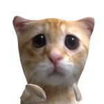 @Fientjecarolientje