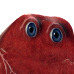 @FlyingPickleSeeds