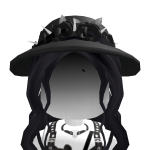 @pale0rc