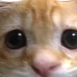 @Ezekiel1123124