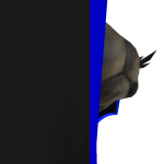 @robloxian243666