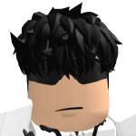 @verstappen_max33max
