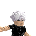 @roblox_user_1082703028