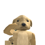 @finn080510