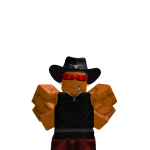 @ULTRAELROI500
