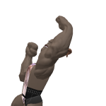 @tbibhots