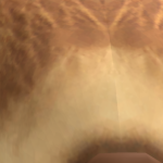 @Jeffey360NoScope