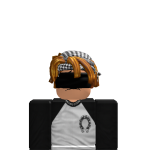 @Aliridhaalhussene1