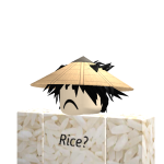 @riceblazer123