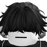 @sarinharoblox20133