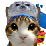 Seal