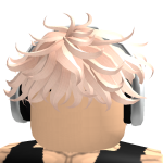 @BedWarsPro4319