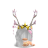 r_0zalina