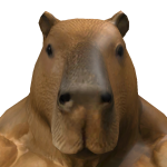 @T0RN1K32