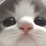 @V1DE0ST4R_TR1X1E