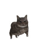 @KLM_YEET