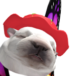 @choccyhamster