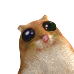 @carter020816