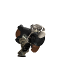 @Cyropes