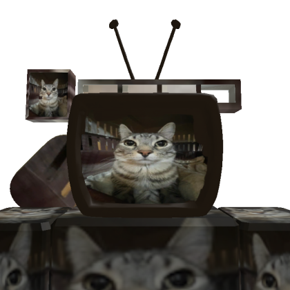 hamodysatty